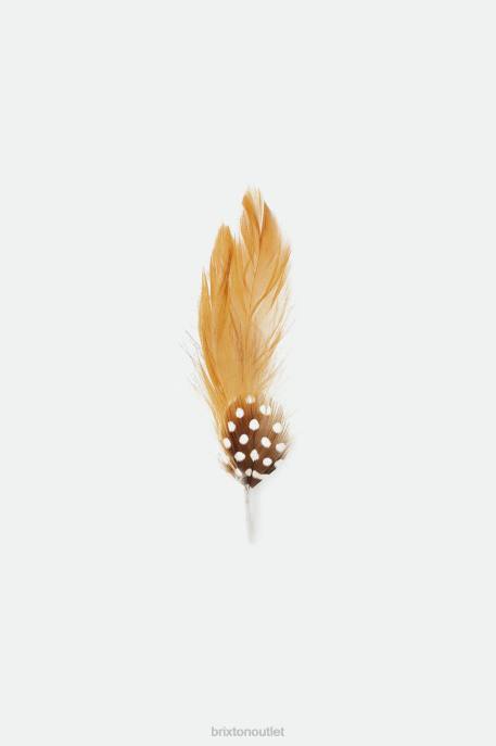 Unisex Brixton Brown Brad Universal Hat Feather Accessories