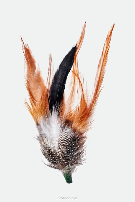 Unisex Brixton Multi Kevin Hat Feather Accessories