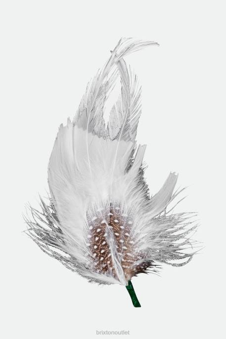 Unisex Brixton Multi Robert Hat Feather Accessories
