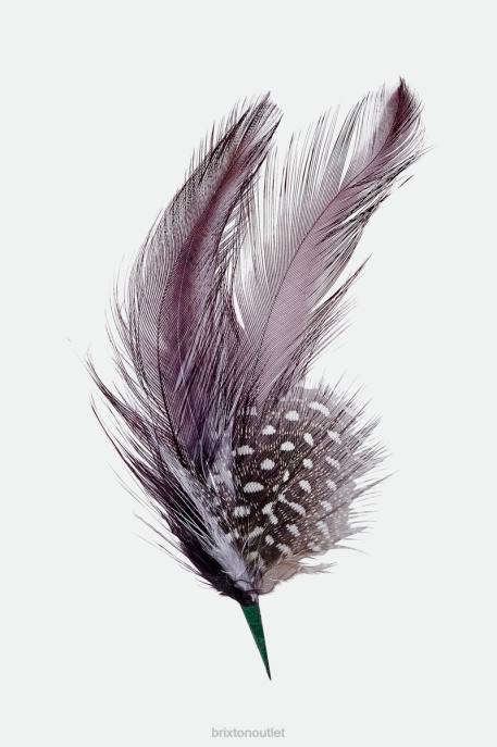 Unisex Brixton Multi Thomas Hat Feather Accessories